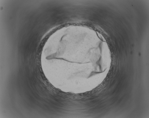 X0000081421208200702092125