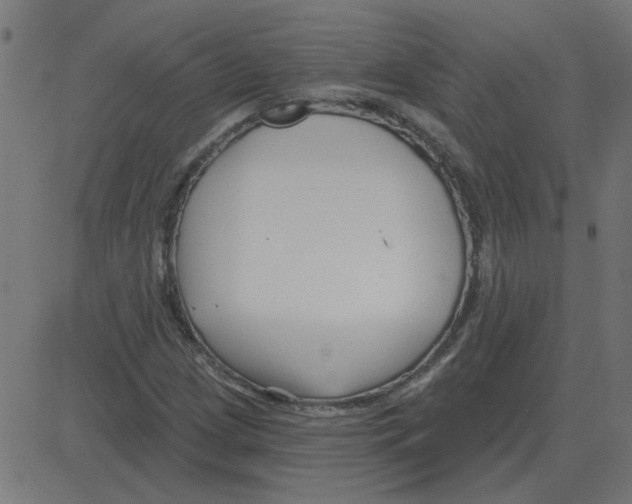 X0000081421209200702092125