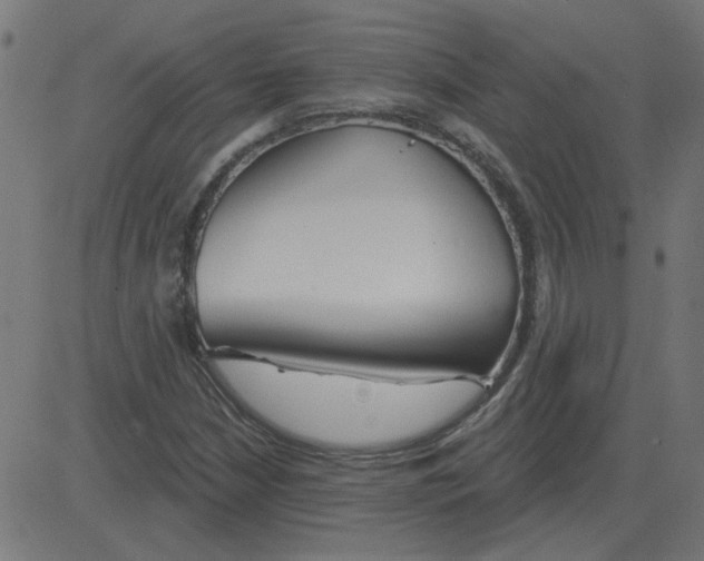 X0000081421210200702092125