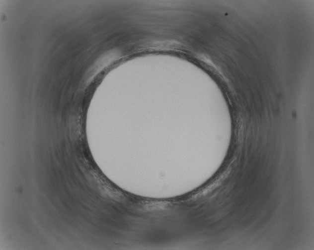 X0000081421211200702092125