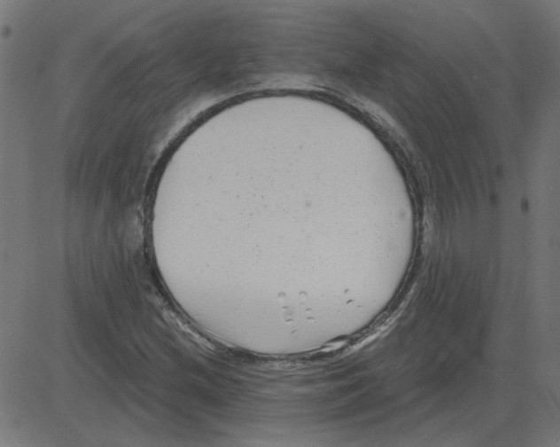 X0000081421212200702092125