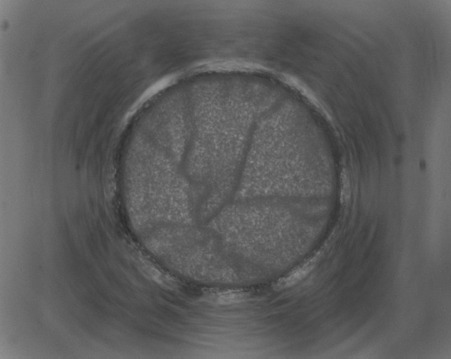 X0000081421213200702092125