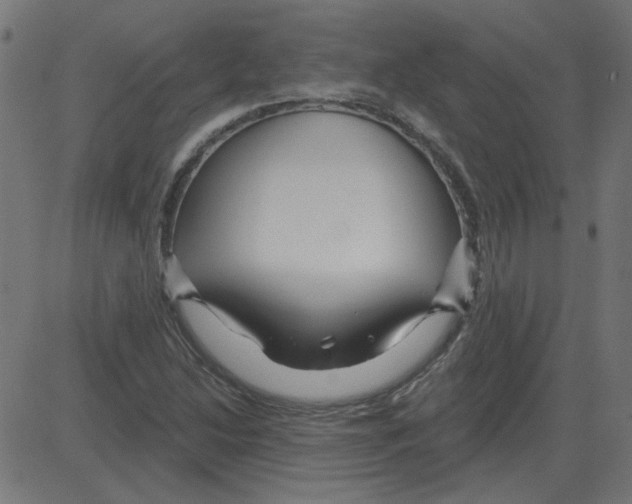 X0000081421214200702092125