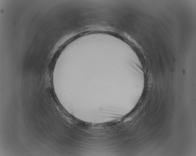 X0000081421215200702092125