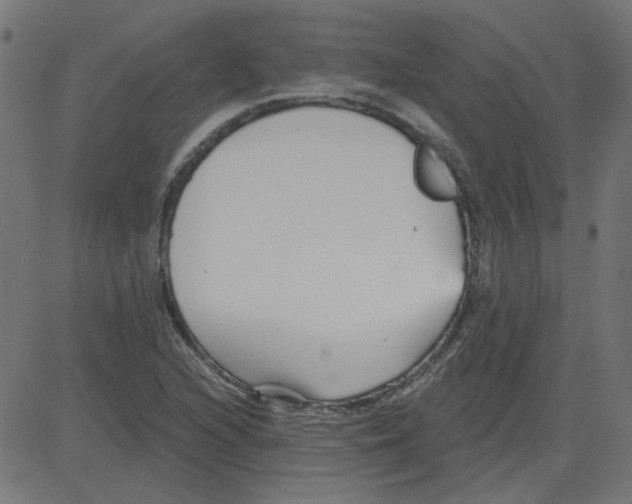 X0000081421216200702092125