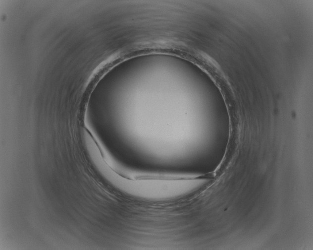 X0000081421218200702092125