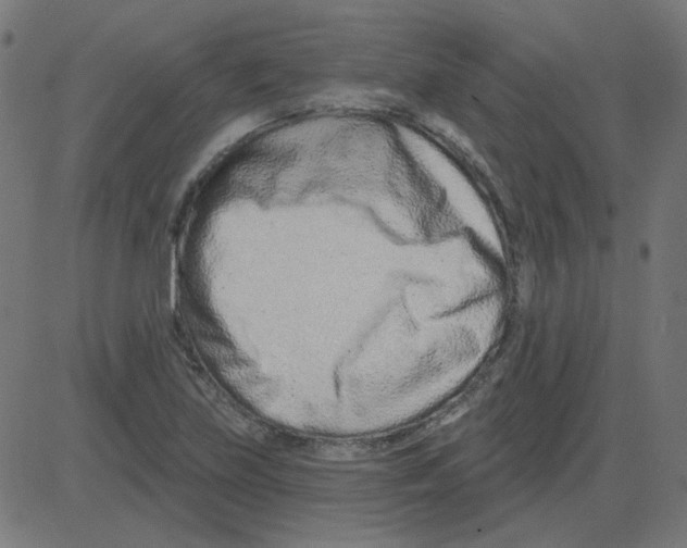 X0000081421219200702092125