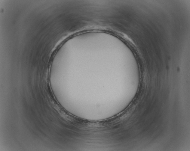 X0000081421220200702092125