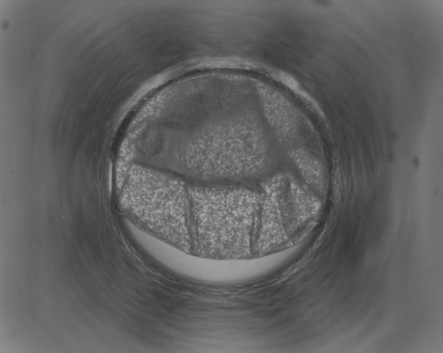 X0000081421221200702092125