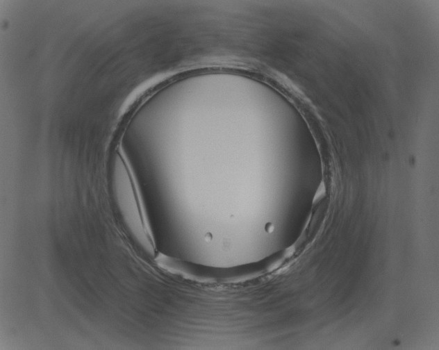 X0000081421222200702092125