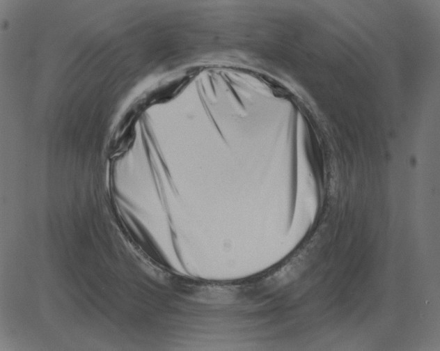 X0000081421224200702092125