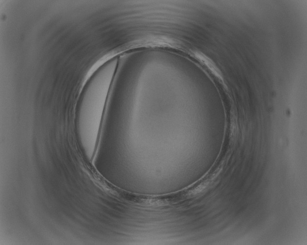 X0000081421226200702092125