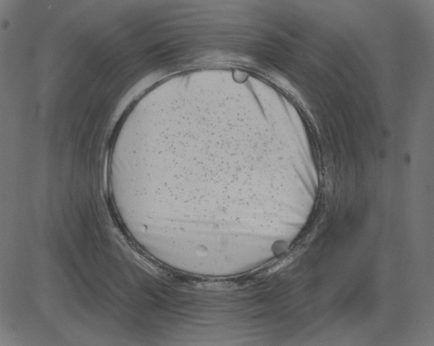 X0000081421227200702092125