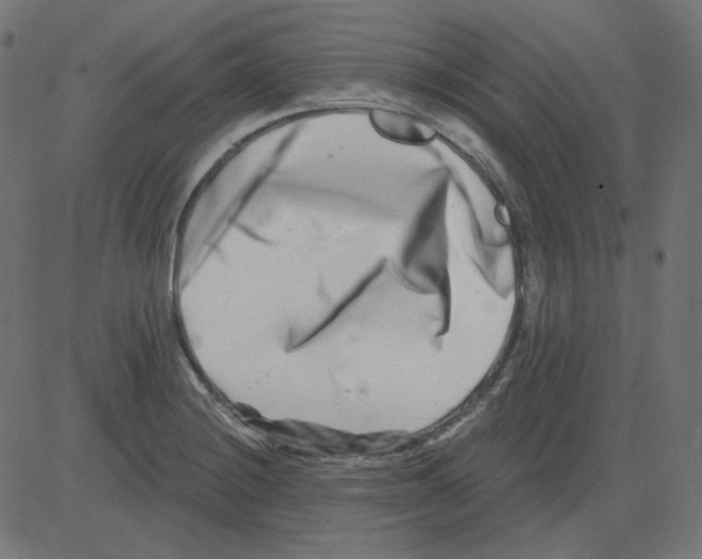 X0000081421228200702092125