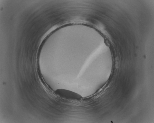 X0000081421229200702092125