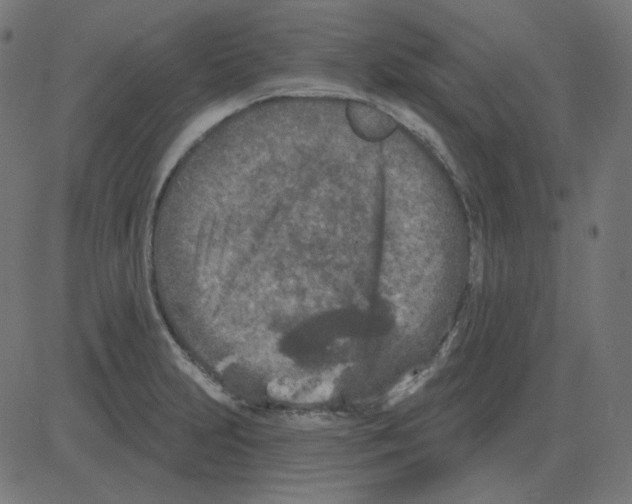 X0000081421231200702092125