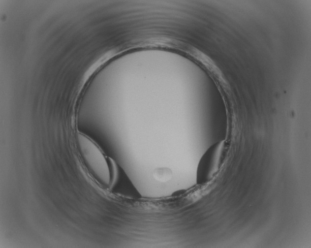 X0000081421234200702092126