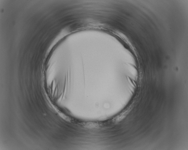 X0000081421235200702092126