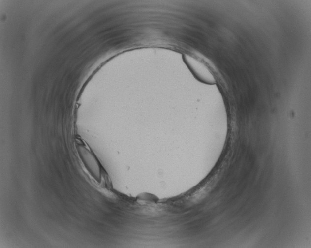 X0000081421236200702092126