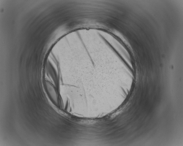 X0000081421237200702092126