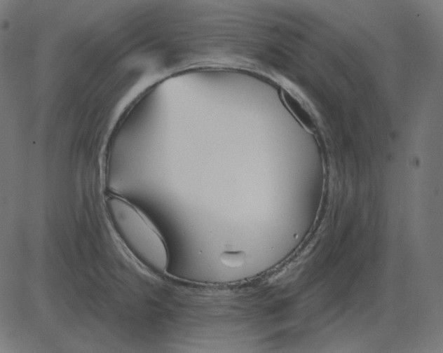 X0000081421238200702092126