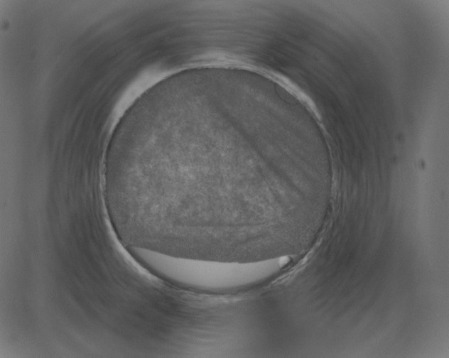 X0000081421239200702092126