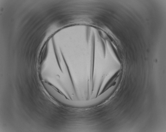 X0000081421240200702092126