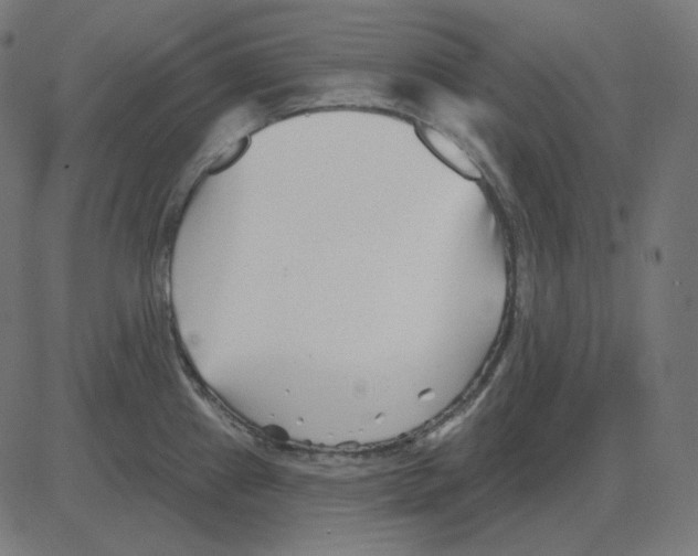 X0000081421241200702092126