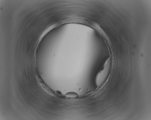 X0000081421242200702092126