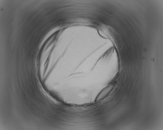 X0000081421243200702092126