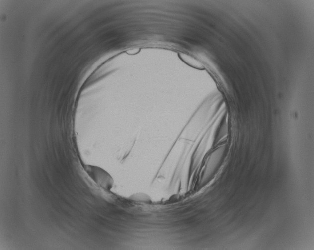 X0000081421244200702092126