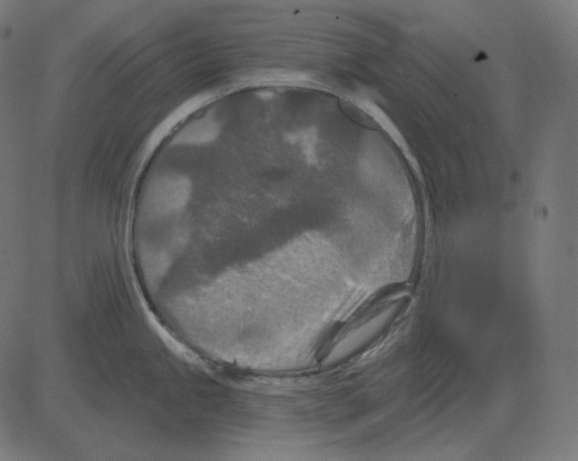 X0000081421245200702092126