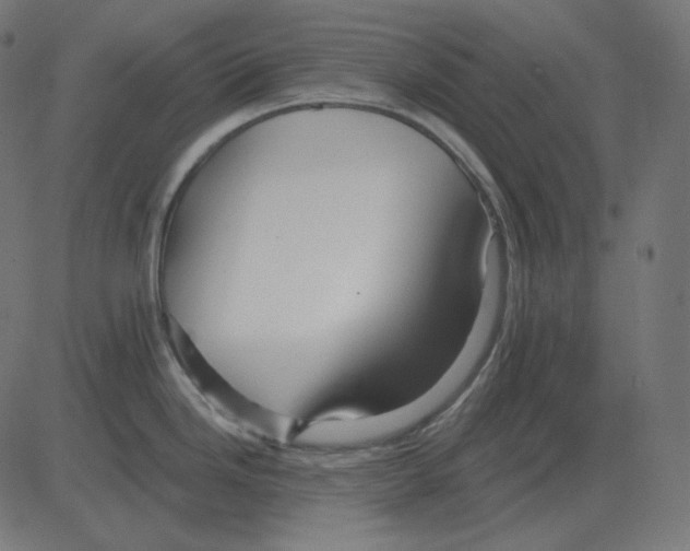 X0000081421246200702092126