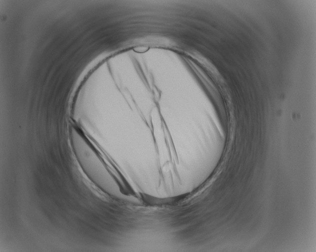 X0000081421248200702092126