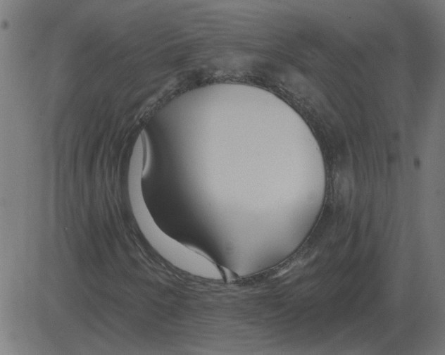 X0000081421250200702092125