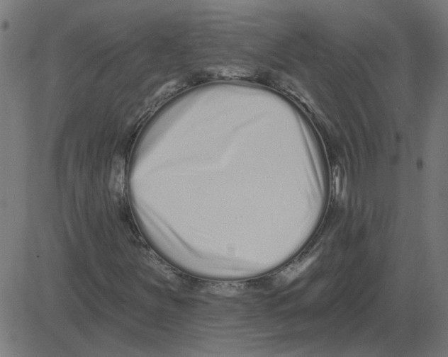 X0000081421251200702092125