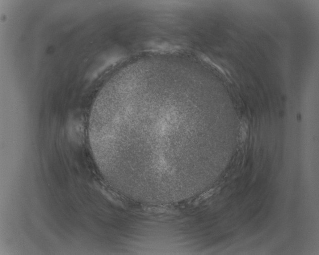 X0000081421254200702092125