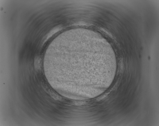 X0000081421258200702092125