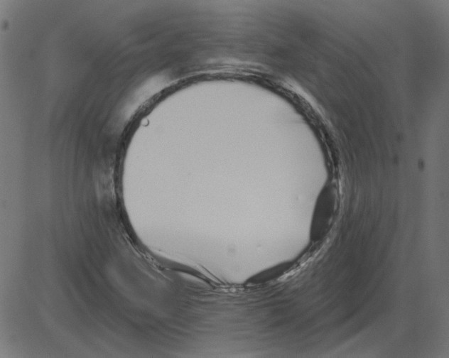 X0000081421259200702092125