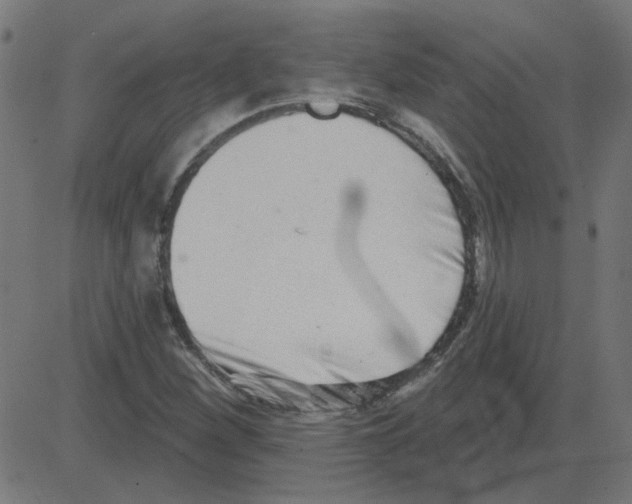 X0000081421260200702092125