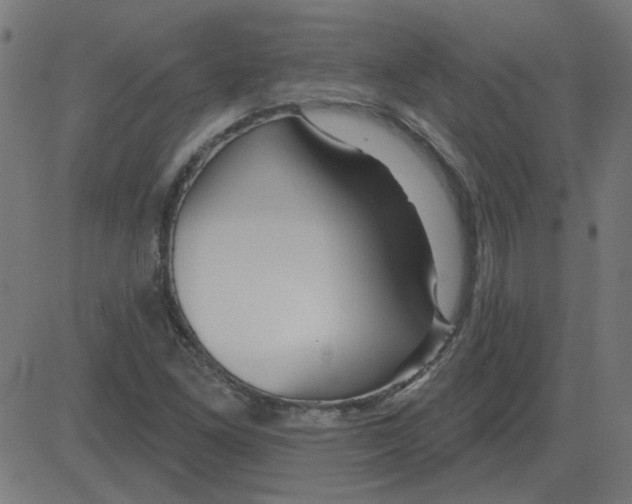 X0000081421261200702092125