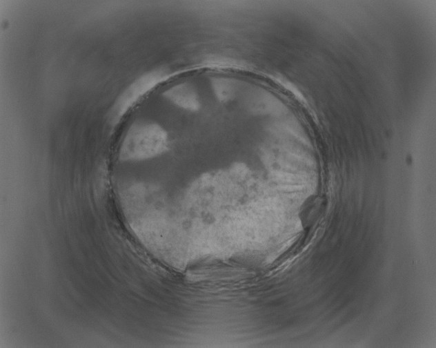 X0000081421263200702092125