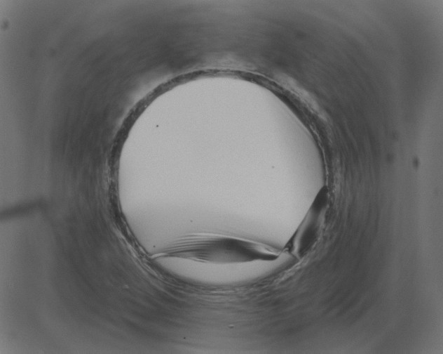 X0000081421264200702092125