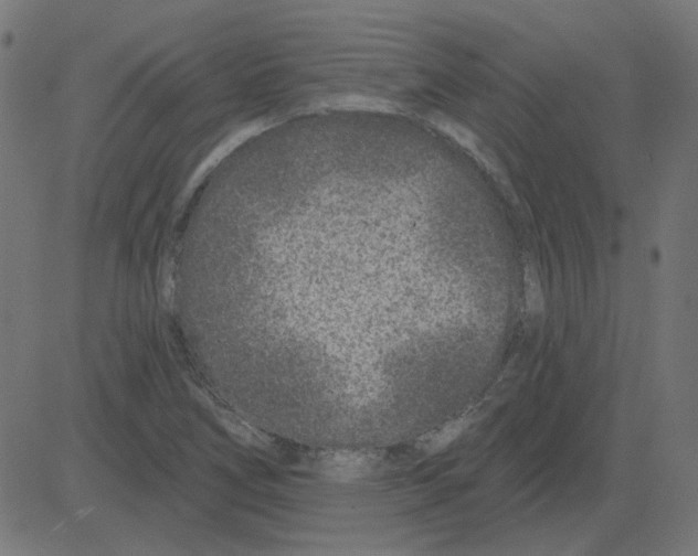 X0000081421266200702092125