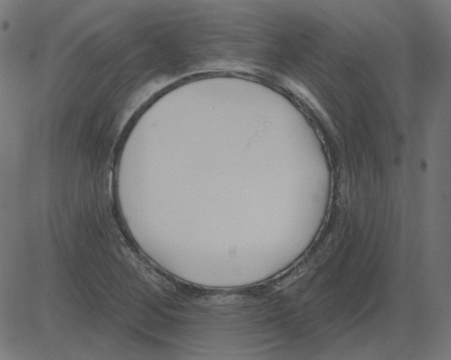 X0000081421268200702092125