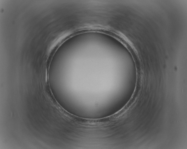 X0000081421269200702092125