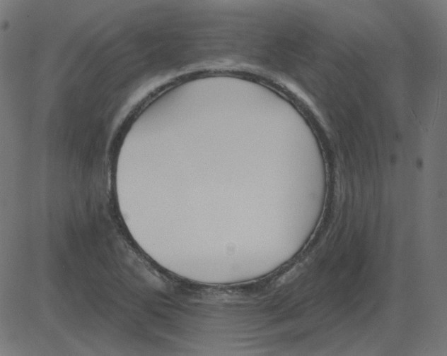 X0000081421270200702092125