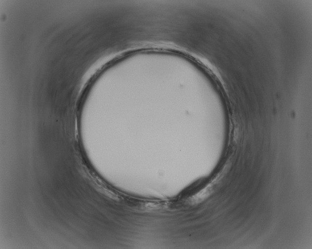 X0000081421271200702092125