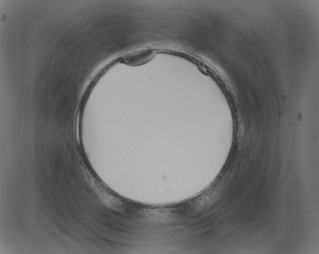 X0000081421272200702092125