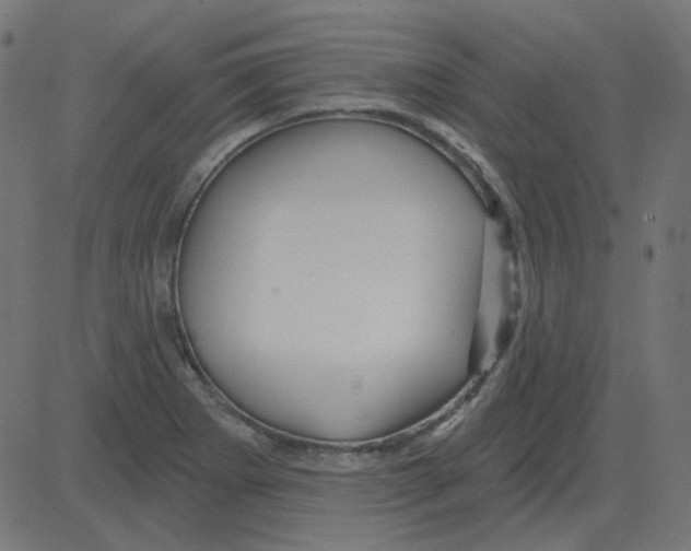 X0000081421273200702092125